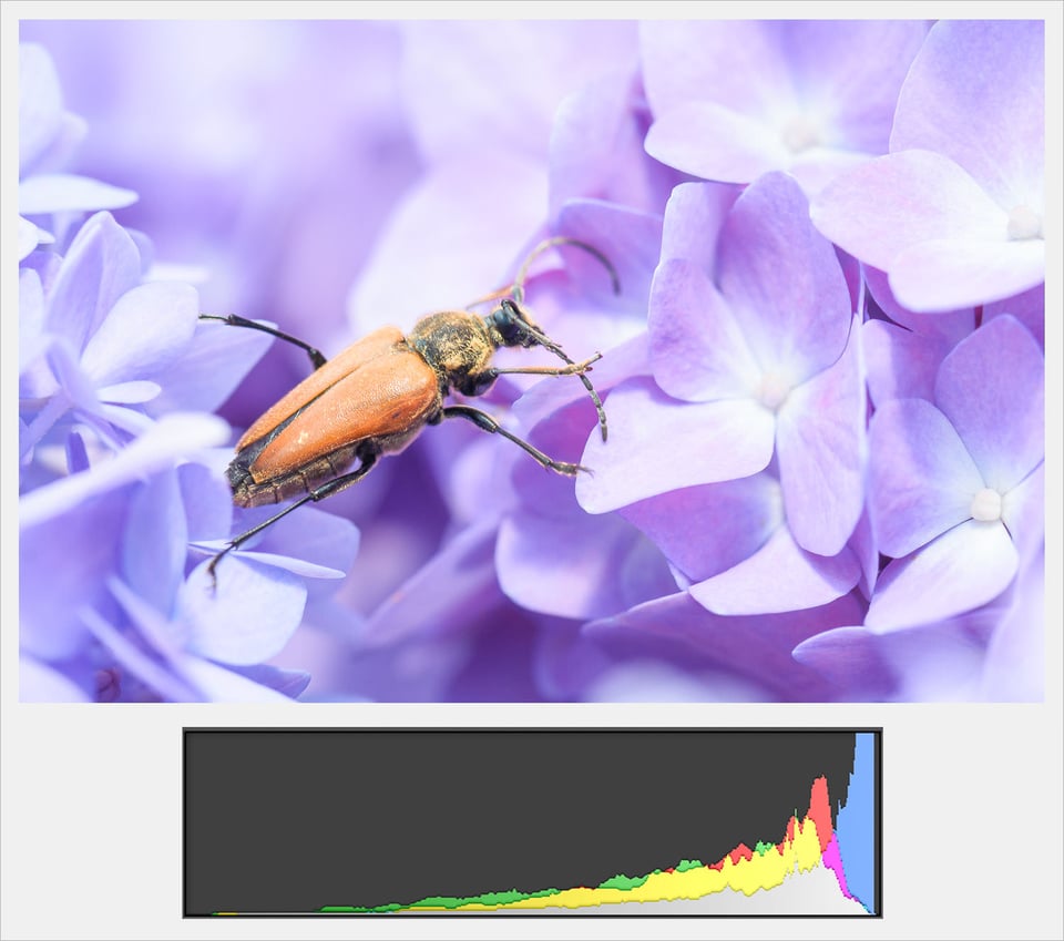 Overexposed color histogram