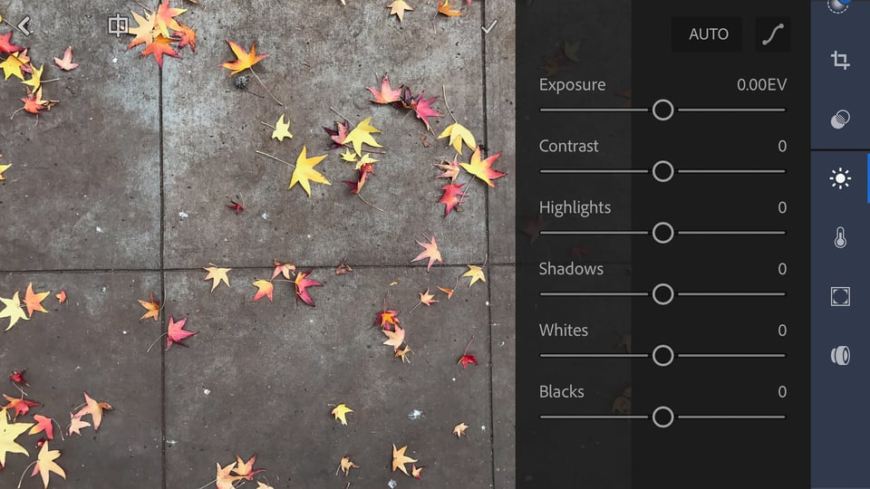 Lightroom Mobile Editing Screen