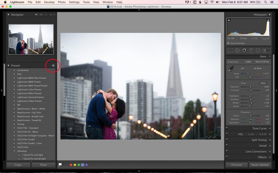 Creating Lightroom Develop Presets-1