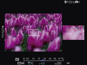 Fuji X-H1 Dual Display Mode