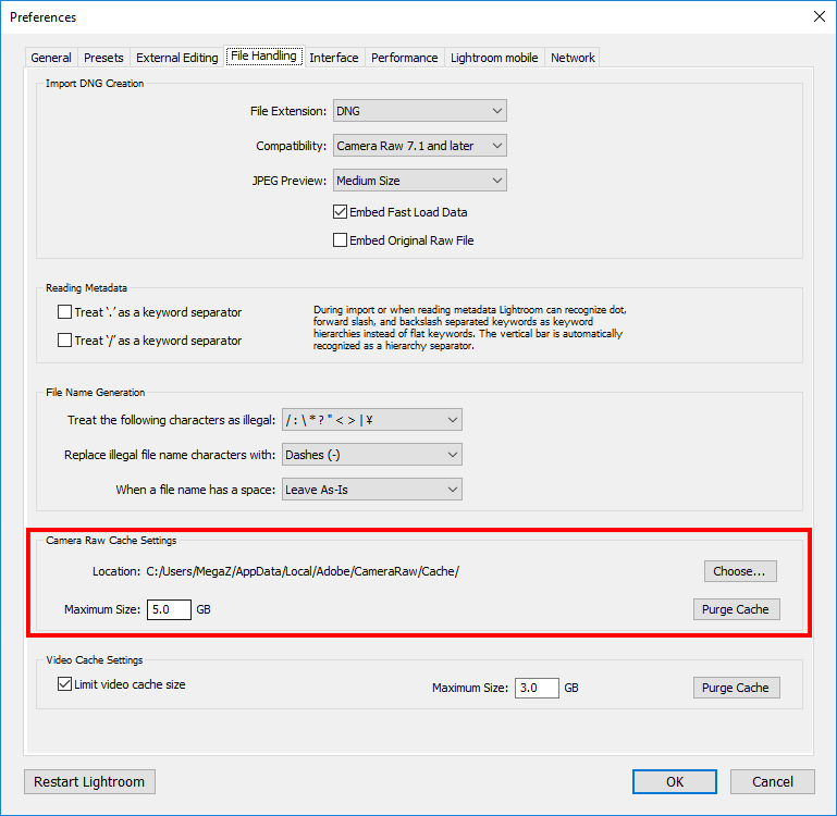 Lightroom Camera RAW Cache Settings