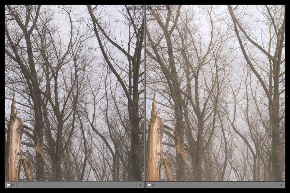 Lightroom Negative Clarity (20)