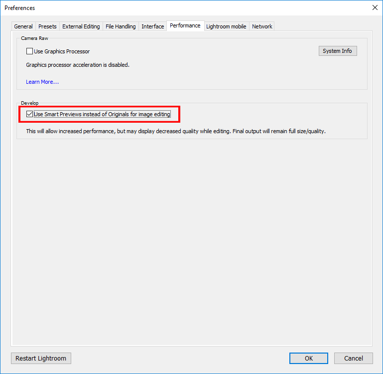 Lightroom Smart Previews Setting