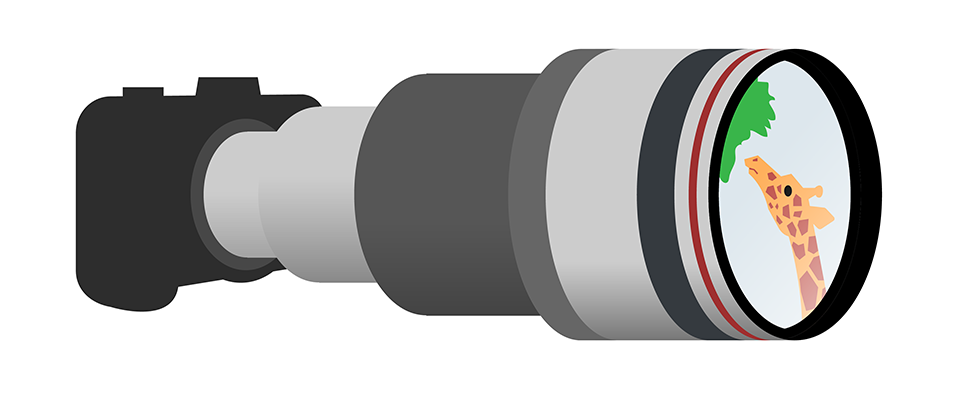 Sony 200–600mm Lens: User Guide for Wildlife Photographers