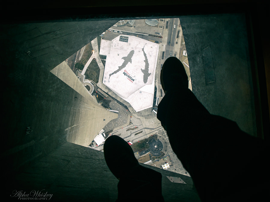 19 Glass Floor CN Tower