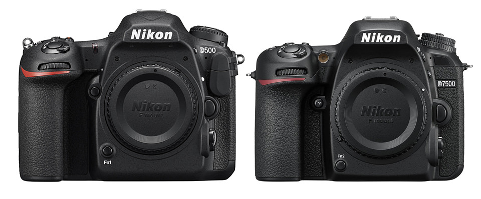 Nikon D500 vs D7500