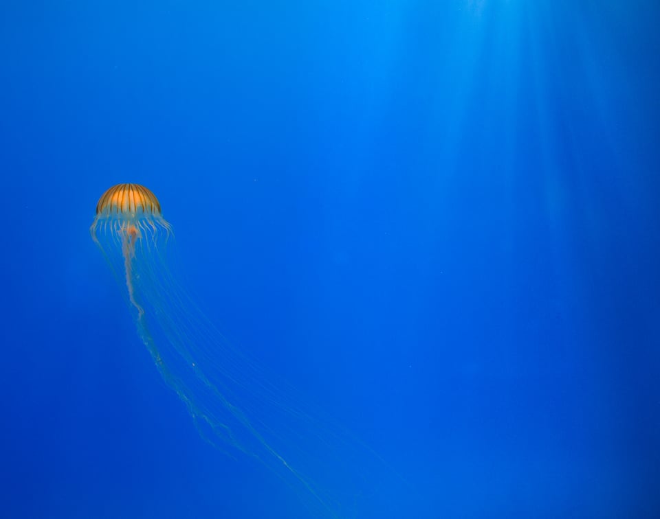 Minimalism-3