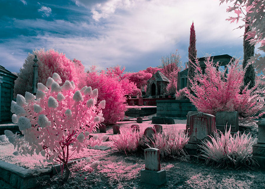Oakland Cemetery 2