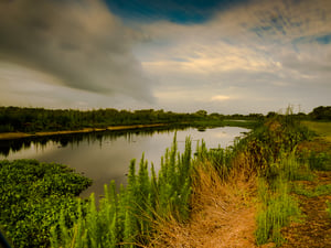 Paynes_Prairie_storm