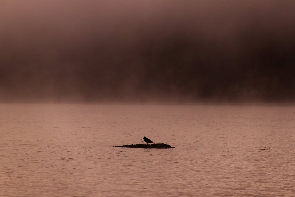 Stewart Island New Zealand (15)