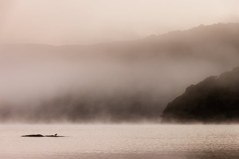 Stewart Island New Zealand (16)