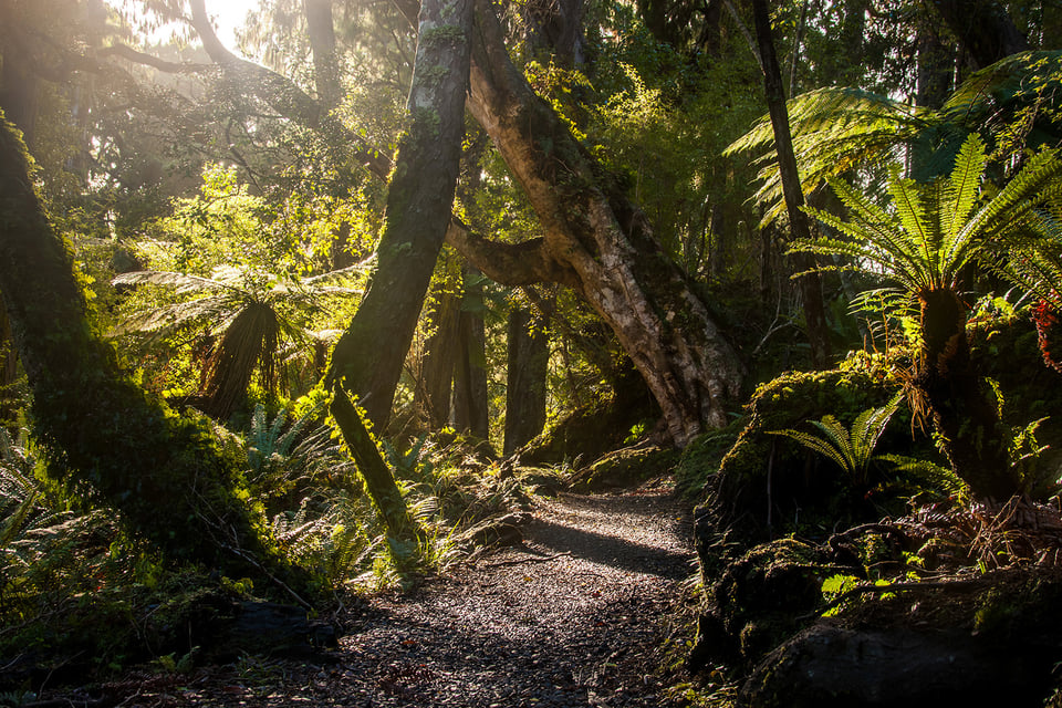 Stewart Island New Zealand (3)