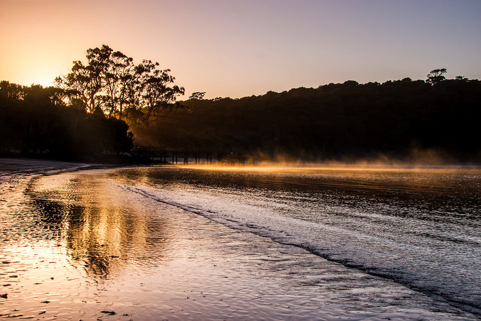 Stewart Island New Zealand (5)