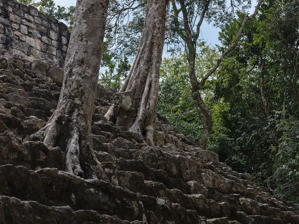 Yucatan Peninsula Mexico (21)