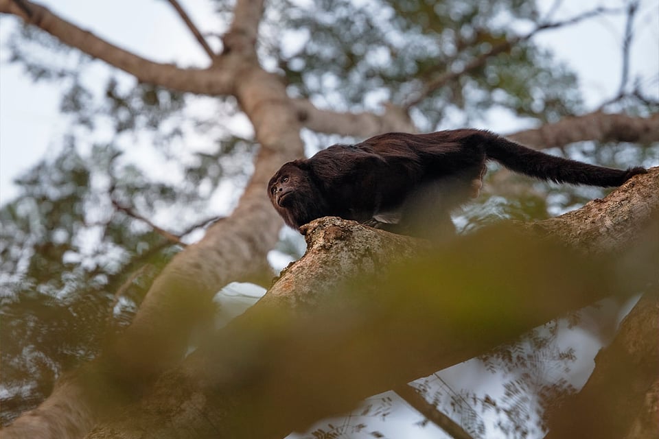 Yucatan Peninsula Mexico (36)