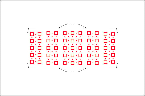 Nikon D5 Viewfinder Focus Points