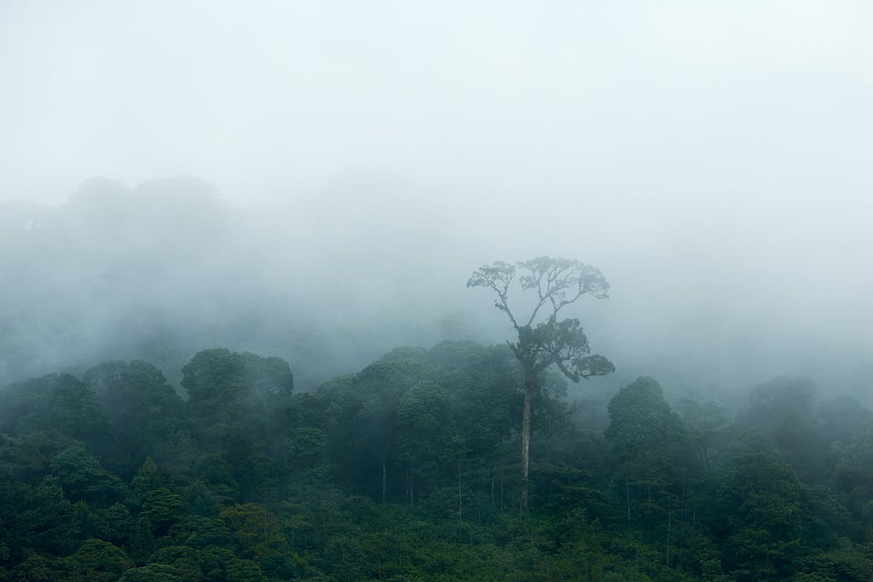 Costa Rica (14)