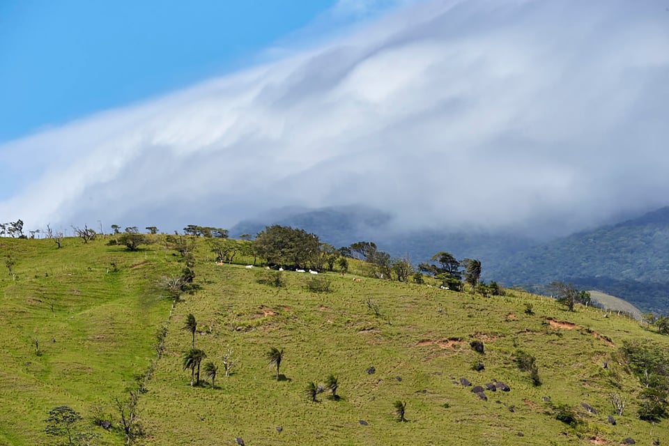 Costa Rica (33)