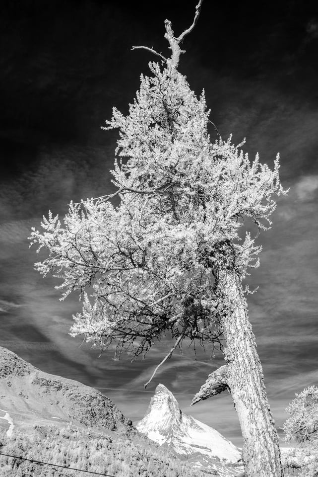 Matterhorn-IR_170608_045