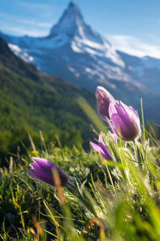 Matterhorn_170607_101