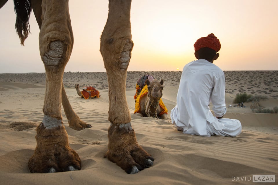 14. David Lazar - Thar Desert-India