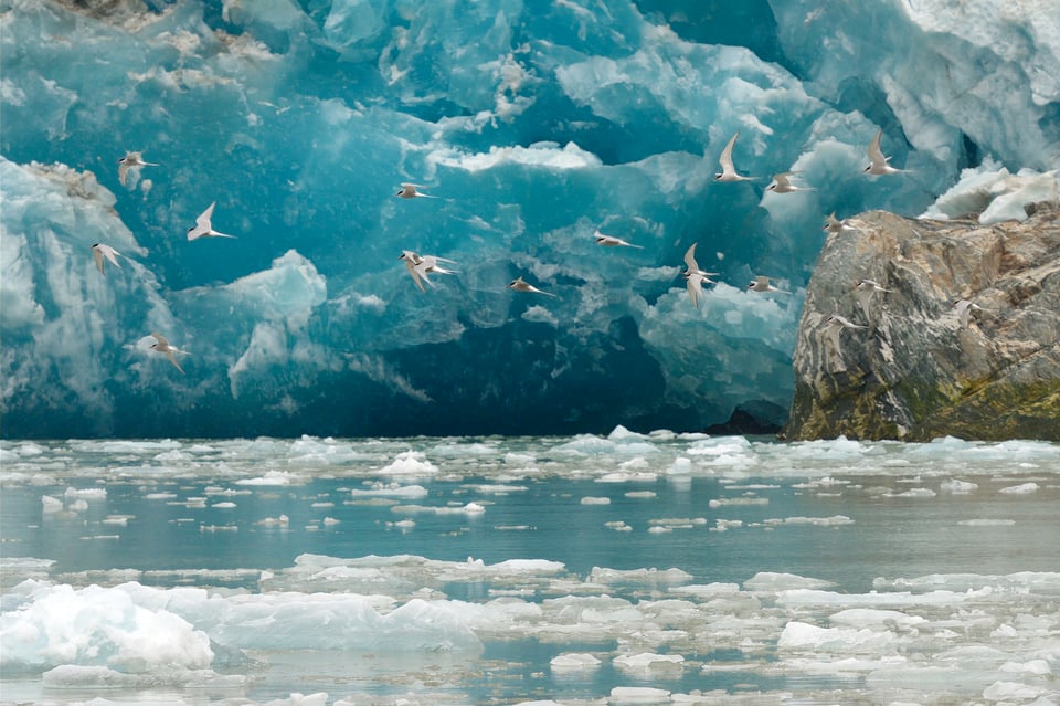 Image 10 Sawyer Glacier