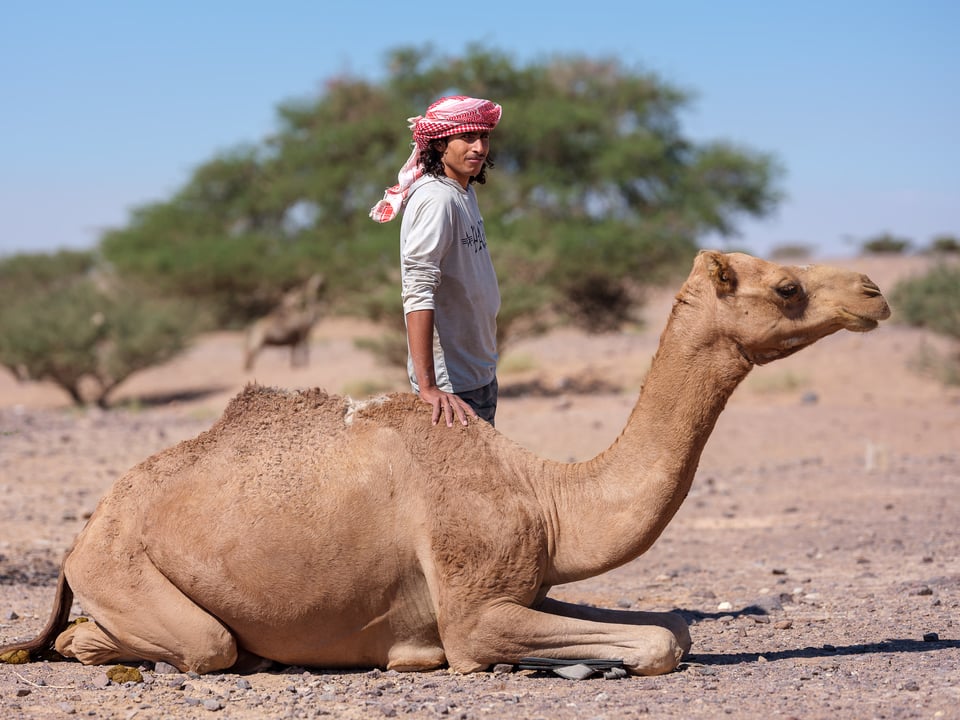 People of Jordan (6)