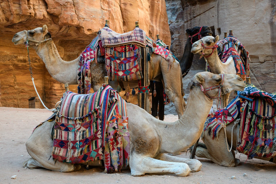 Petra Jordan (1)