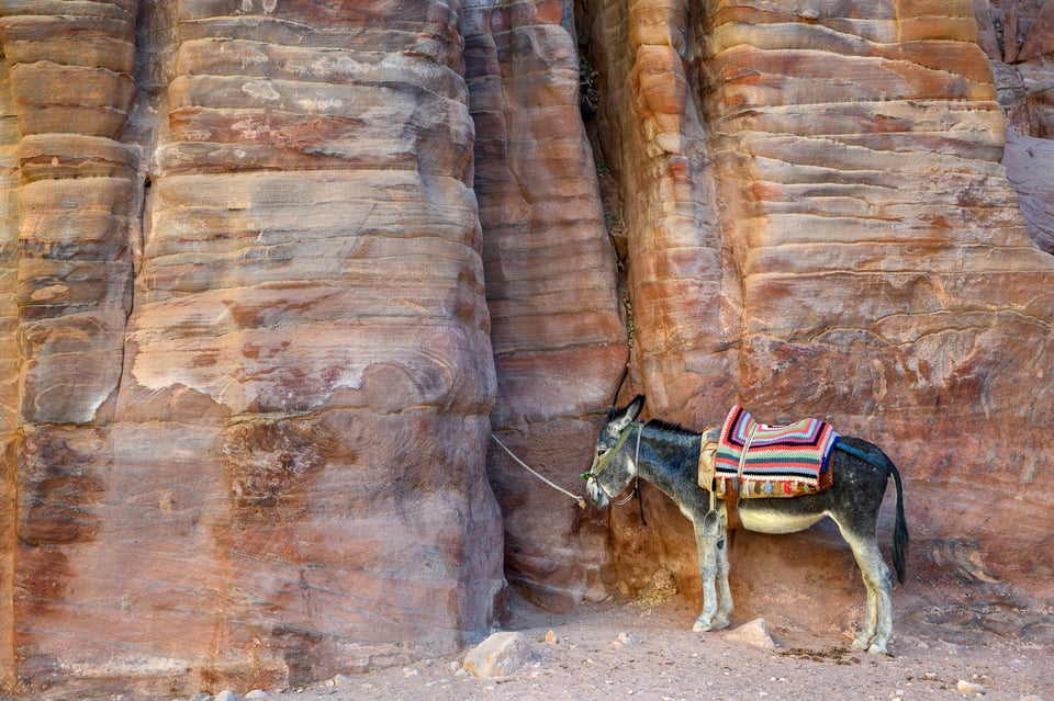 Petra Jordan (2)