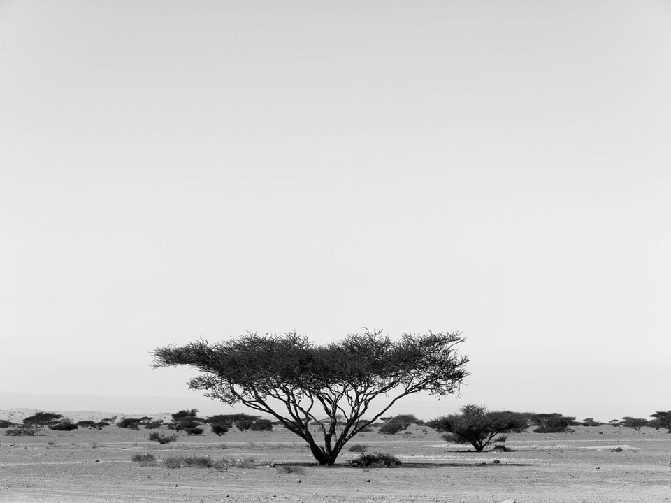 Wadi Rum Jordan (10)