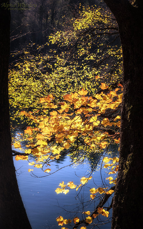 Plitvice Lakes 16b