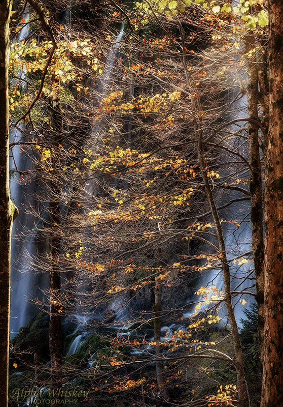 Plitvice Lakes 16c