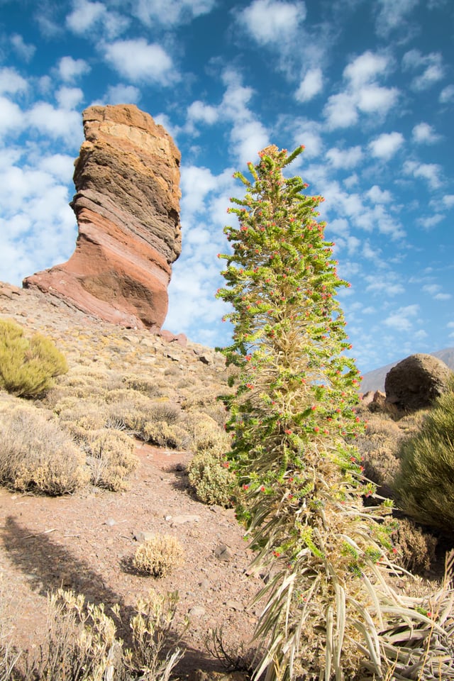 03Tenerife_170917_101