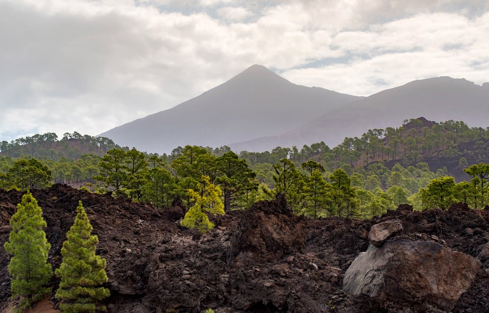 03Tenerife_170917_117