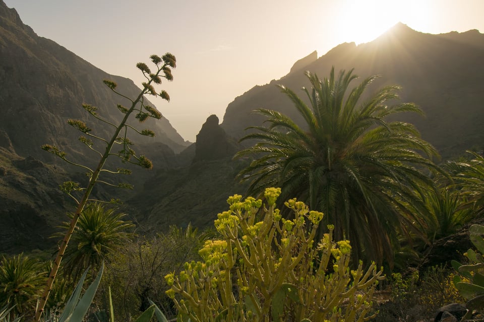 06Tenerife_170917_130