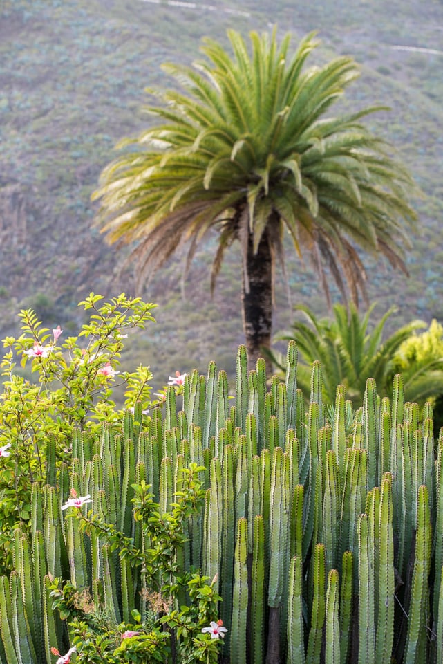 06Tenerife_170917_142