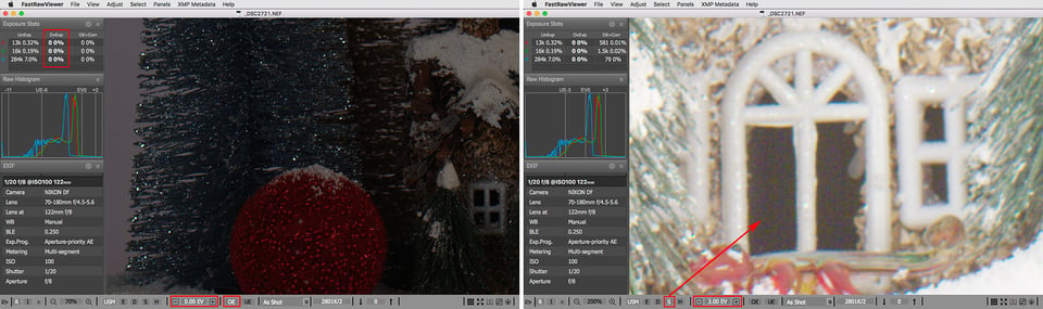 Fig3_FastRawViewer_2721_AutoExp_highlight-and-shadows