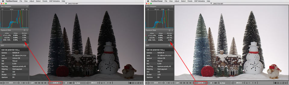 Fig8_FastRawViewer_2733_AutoExp_orig_plus-2-6EV