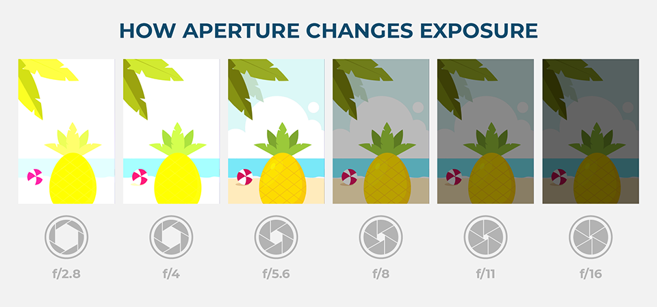 An illustration of aperture and how it affects exposure