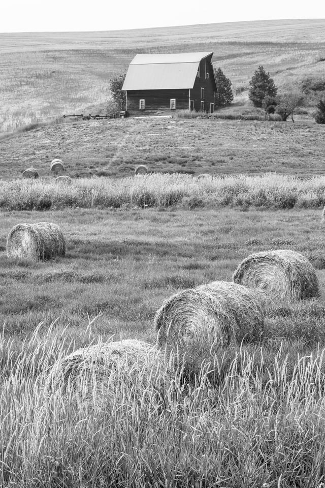 Bails and Barn