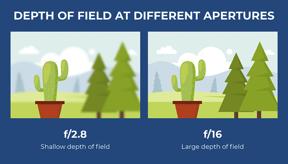 Depth of Field at Different Aperture Settings