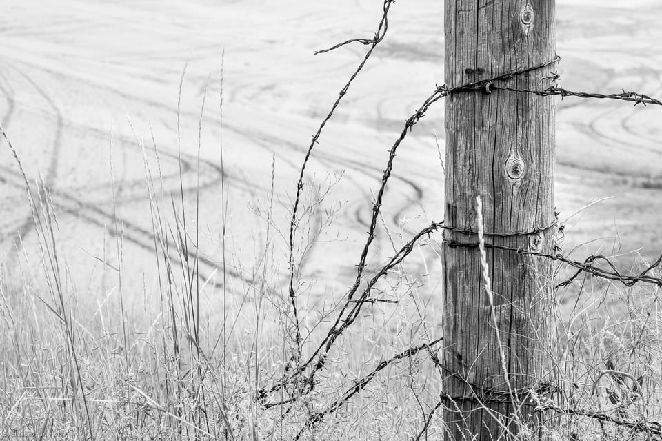 Fence-and-Tracks-1