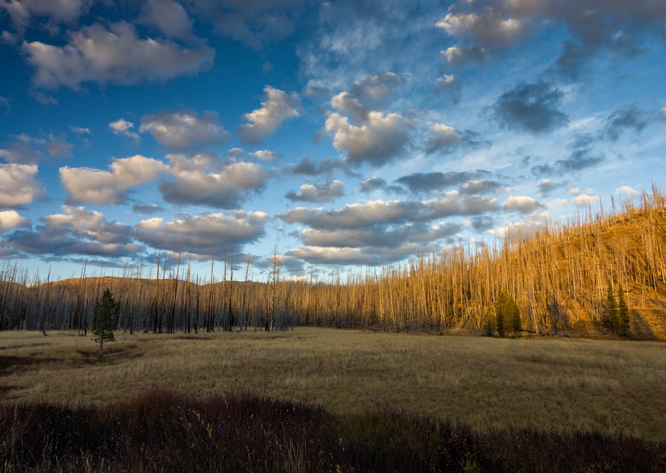 Patchy Clouds in Yellowstone