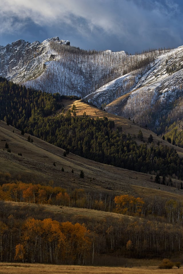 Fall in Yellowstone