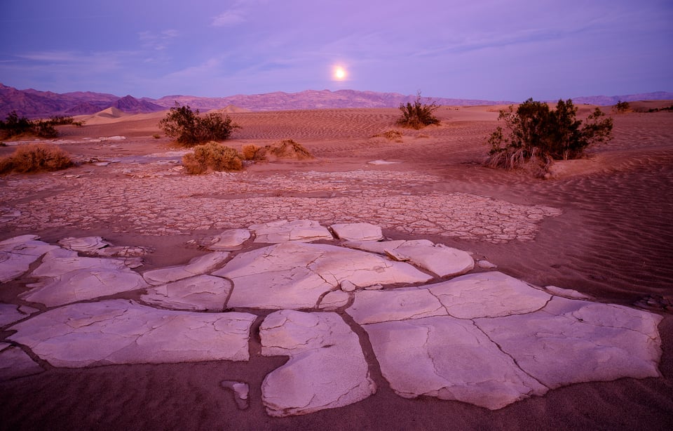 Moonrise Mesquite Dunes