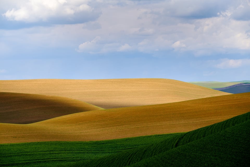 Olaf Sztaba Palouse 1