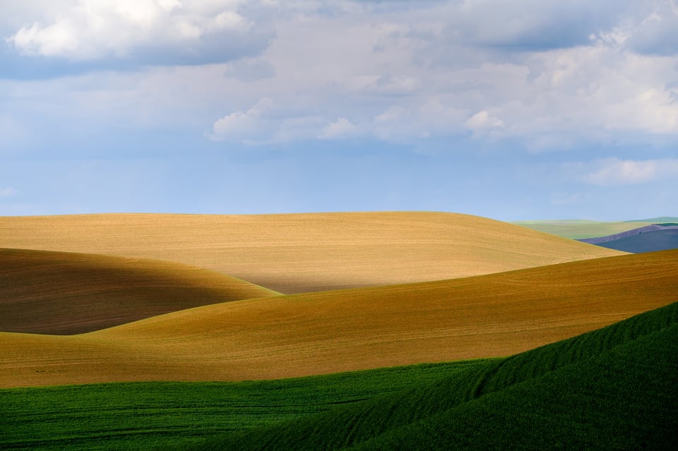 Olaf Sztaba Palouse 1