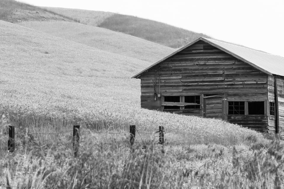 Old Barn and Fence