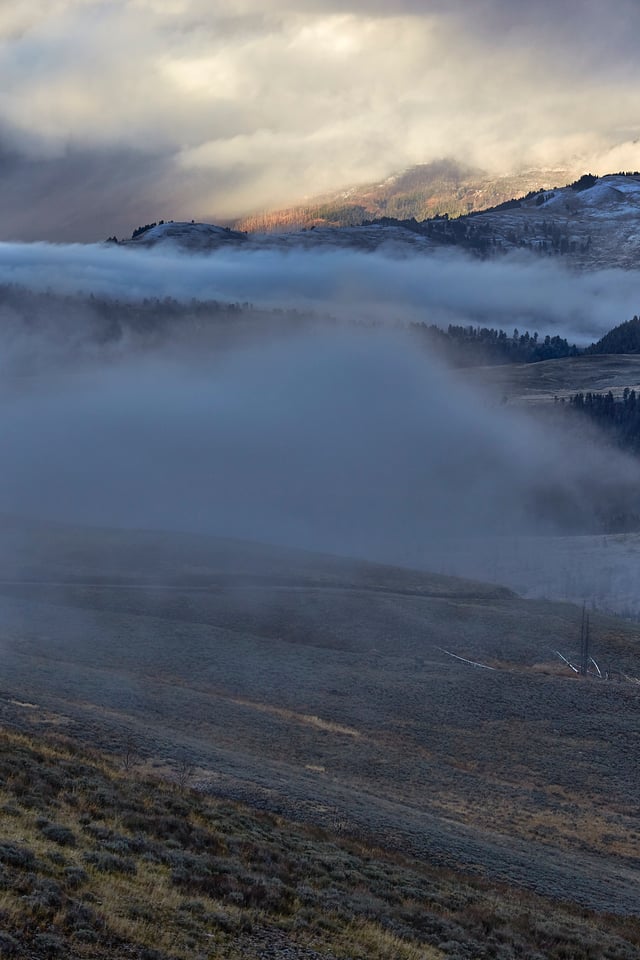 Photographing Wildlife in Yellowstone (14)