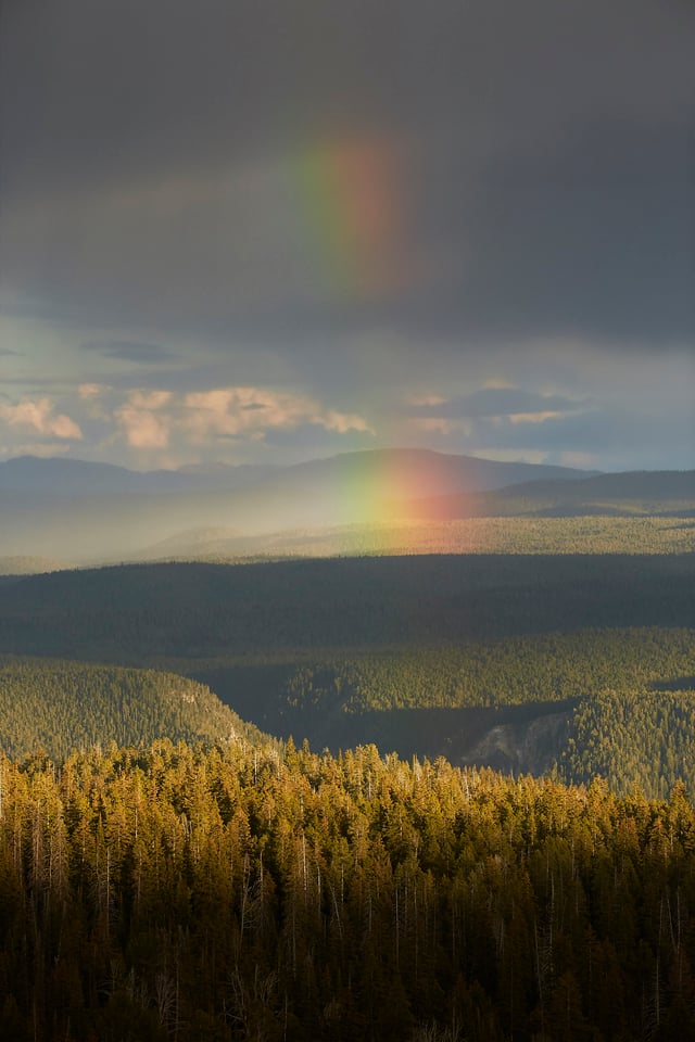 Photographing Wildlife in Yellowstone (4)